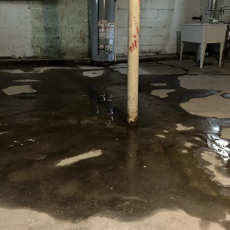 Emergency Water Extraction And Removal in Hartford, AL